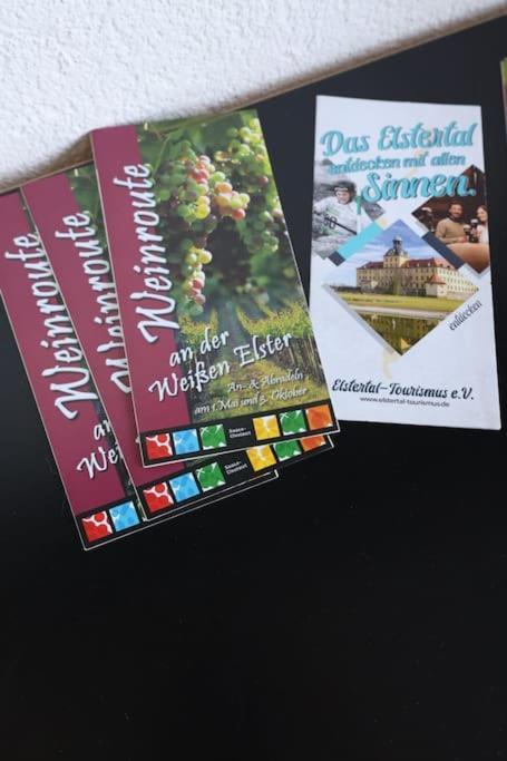 Ferienwohnung Weingut Lahmer August Kretzschau Eksteriør bilde