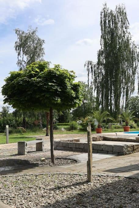Ferienwohnung Weingut Lahmer August Kretzschau Eksteriør bilde